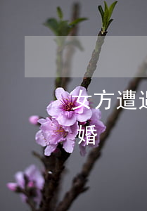 女方遭遇家庭暴力離婚(女方遭遇家庭暴力離婚)