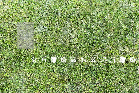 女方離婚該怎么起訴離婚(女方怎么起訴離婚?)