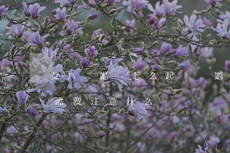 女方離婚該怎么起訴離婚范文(女方起訴離婚需要注意什么問題)