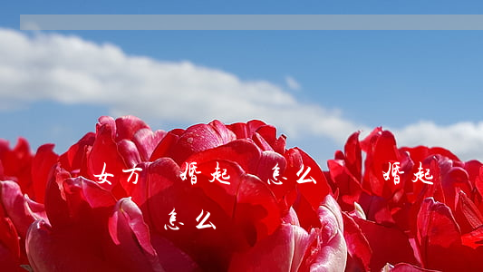 女方離婚起訴怎么寫(離婚起訴書女方離婚起訴書怎么寫)
