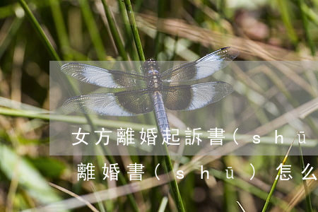 女方離婚起訴書(shū)完整版圖片(起訴離婚書(shū)怎么寫(xiě) 女方)