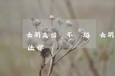 女朋友借錢不還起訴(女朋友借錢不還怎么辦 法律)