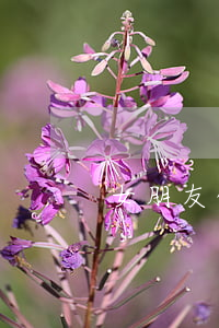 女朋友借錢法院(女朋友借錢法院怎么處理)
