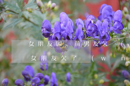 女朋友因為前男友欠網(wǎng)貸(因為女朋友欠了網(wǎng)貸)