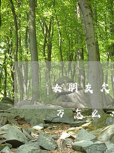 女朋友欠了信用卡8万(女朋友欠了信用卡8万怎么办)
