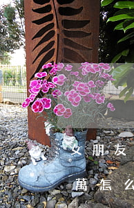 女朋友欠了信用卡8萬(女朋友欠了信用卡8萬怎么辦)