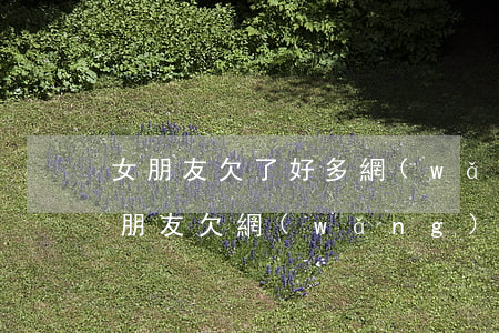 女朋友欠了好多網(wǎng)貸怎么辦(女朋友欠網(wǎng)貸快結(jié)婚了)