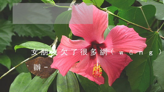女朋友欠了很多網(wǎng)貸還了怎么辦-
