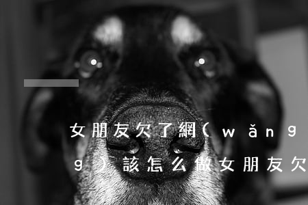 女朋友欠了網(wǎng)貸 我應(yīng)該怎么做(女朋友欠了網(wǎng)貸怎么辦)