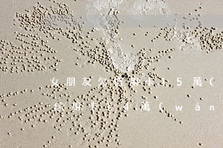 女朋友欠信用卡15萬(wàn) 女朋友欠信用卡14萬(wàn)