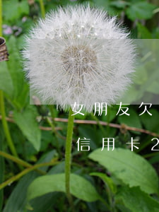 女朋友欠信用卡20萬怎么處理-女朋友欠信用卡20萬怎么處理好