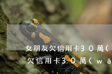 女朋友欠信用卡30萬(wàn)-女朋友欠信用卡30萬(wàn)怎么處理