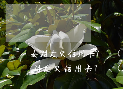 女朋友欠信用卡7萬(wàn)多怎么辦（女朋友欠信用卡7萬(wàn)）