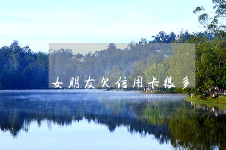 女朋友欠信用卡很多錢