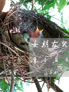 女朋友欠信用卡要還嗎(女朋友信用卡欠錢(qián))