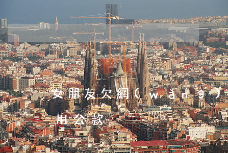 女朋友欠網(wǎng)貸挪用公款(女生挪用公款)