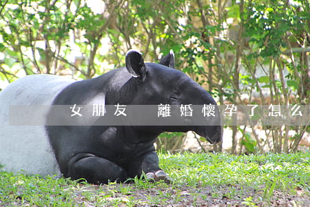 女朋友沒離婚懷孕了怎么辦
