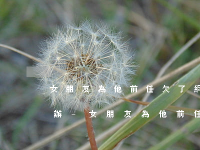 女朋友為他前任欠了網(wǎng)貸怎么辦-女朋友為他前任欠了網(wǎng)貸怎么辦呢
