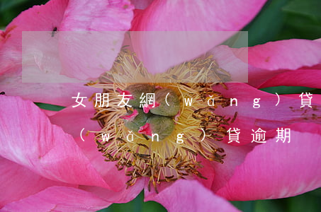 女朋友網(wǎng)貸要起訴我(女朋友網(wǎng)貸逾期)