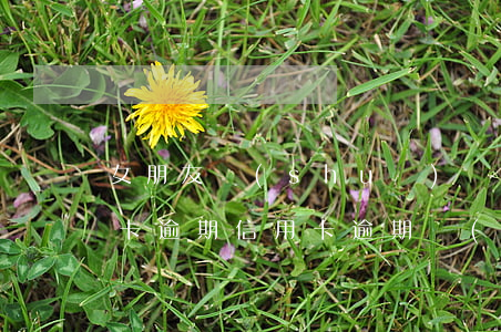 女朋友說(shuō)結(jié)婚信用卡逾期(信用卡逾期結(jié)婚了,對(duì)方會(huì)知道嗎)