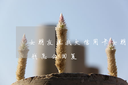 女朋友说我欠信用卡(女朋友要还信用卡我没钱怎么回复)