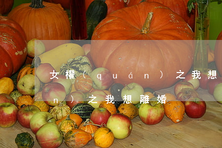 女權(quán)之我想離婚(女權(quán)之我想離婚)