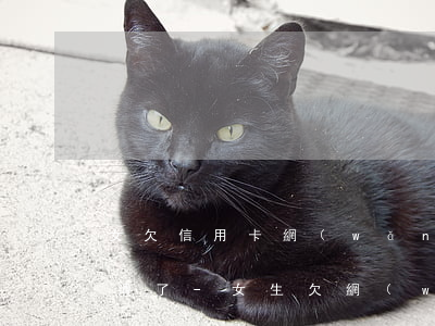 女欠信用卡網(wǎng)貸40萬精神崩潰了-女生欠網(wǎng)貸信用卡十幾萬