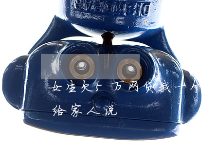 女生欠5万网贷(我一个女生网贷欠6万不敢给家人说)