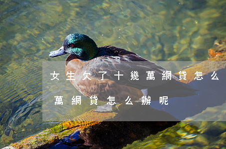 女生欠了十幾萬網貸怎么辦-女生欠了十幾萬網貸怎么辦呢