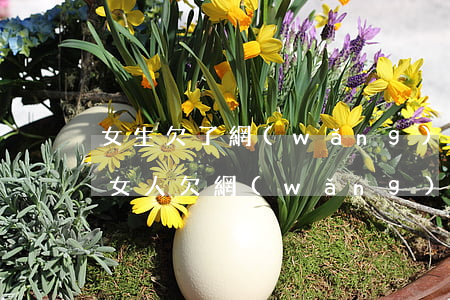 女生欠了網(wǎng)貸還不了怎么辦(有女人欠網(wǎng)貸還不上的嗎)