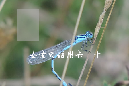 女生欠信用卡幾十萬