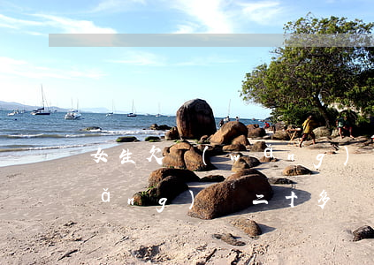女生欠網(wǎng)貸9萬(女的欠網(wǎng)貸二十多萬)