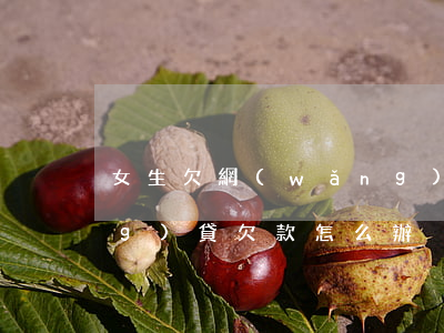 女生欠網(wǎng)貸怎么辦(網(wǎng)貸欠款怎么辦)