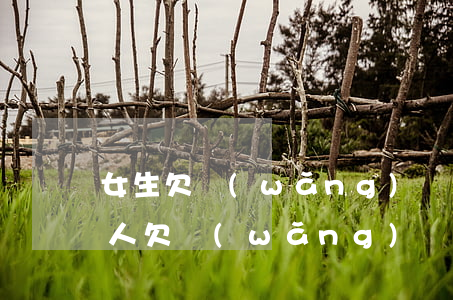 女生欠網(wǎng)貸都是幾千的(一個女人欠網(wǎng)貸20多萬)