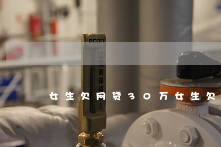 女生欠网贷30万(女生欠了网贷30万)