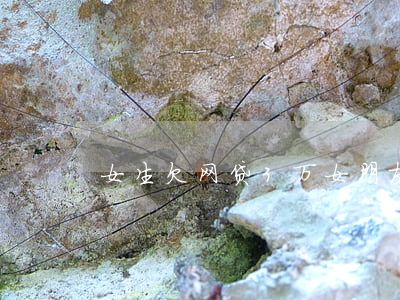 女生欠网贷3万(女朋友欠网贷好几万)