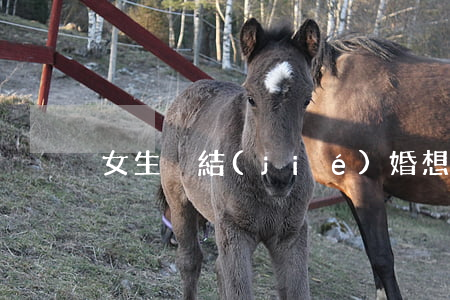 女生沒結(jié)婚想離婚怎么辦