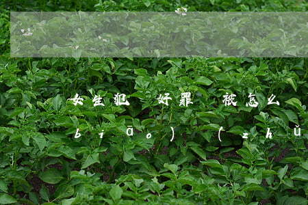 女生犯強奸罪會被怎么處罰（強奸罪量刑標(biāo)準(zhǔn)）