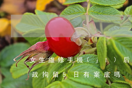 女生維修手機(jī)后收到自己的裸照 行政拘留5日有案底嗎