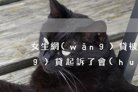 女生網(wǎng)貸被起訴(被網(wǎng)貸起訴了會(huì)坐牢嗎)