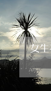 女生花唄逾期后還能用嗎