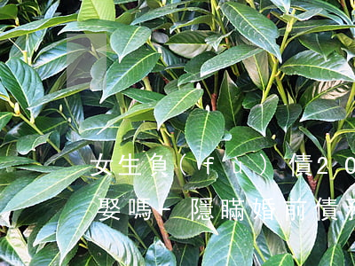 女生負(fù)債20萬(wàn)有人敢娶嗎-隱瞞婚前債務(wù)幾十萬(wàn)算騙婚嗎