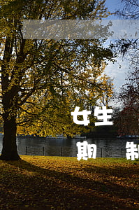 女生貸款逾期了求上岸(網(wǎng)貸逾期強制上岸的經(jīng)驗)