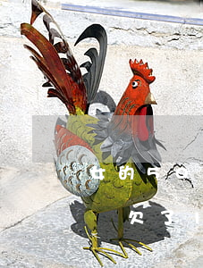 女的50歲欠網(wǎng)貸二十萬(26歲欠了10幾萬網(wǎng)貸怎么辦)