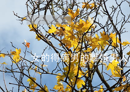 女的得病男的離婚(男人有病女人能提離婚嗎)