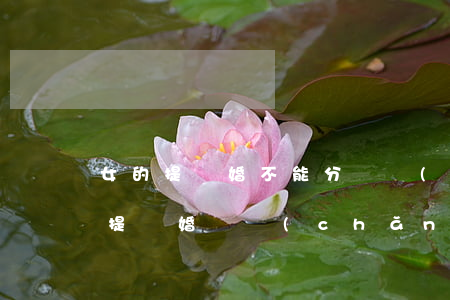 女的提離婚不能分財產(chǎn)嗎(女方提離婚財產(chǎn)怎么分)