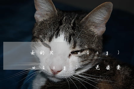 女的欠網(wǎng)貸離婚能要嗎(欠網(wǎng)貸老婆要離婚怎么辦)