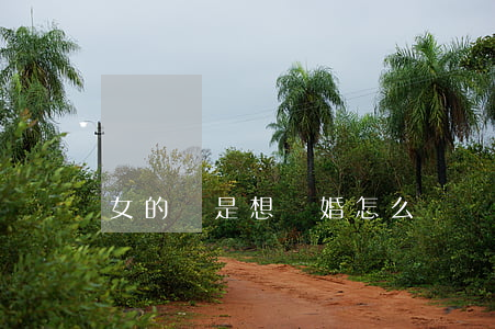 女的總是想離婚怎么辦