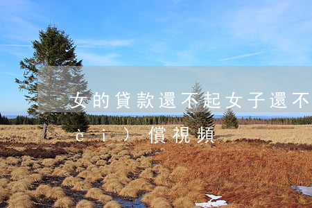 女的貸款還不起(女子還不起貸款只能內(nèi)償視頻)