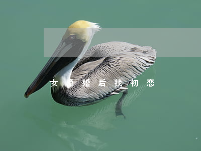 女离婚后找初恋